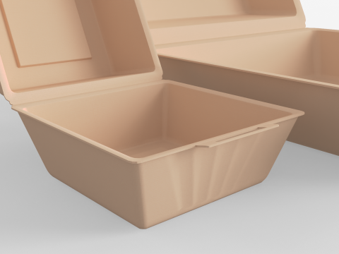 Biodegradable Food Containers 3Dモデル