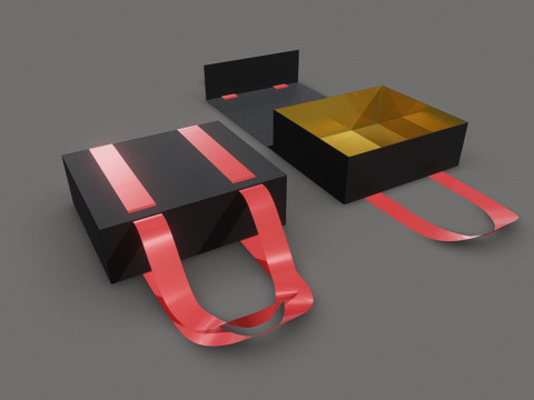 Box with Double Strip 3D Model