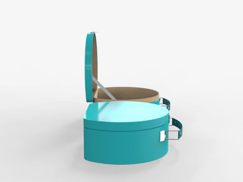 Children Round Cardboard Suitcase 3D Model
