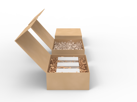 Crinkle Paper Gift Box 3D 模型
