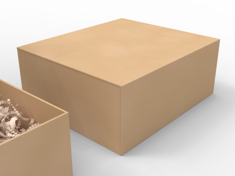 Crinkle Paper Gift Box 3D 模型