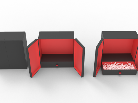 Crinkle Paper Vertical Double Doors Box with Drawer Modelo 3D