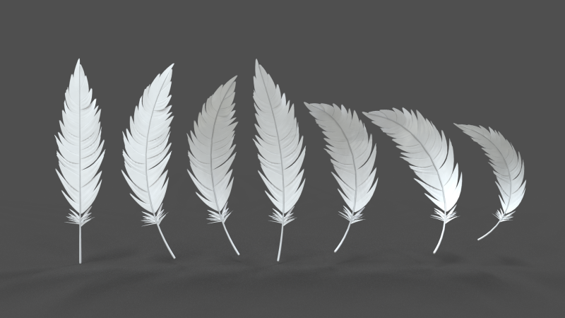 Feathers Set Model 3D .c4d .max .obj .3ds .fbx .stl .blend 