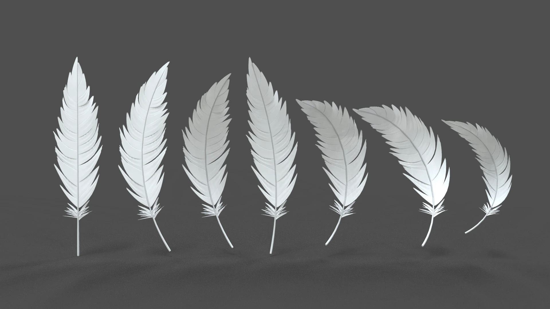 Feathers Set 3D Model .c4d .max .obj .3ds .fbx .stl .blend 