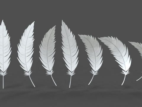 Feathers Set 3D मॉडल