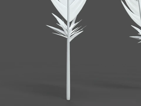 Feathers Set 3D Model