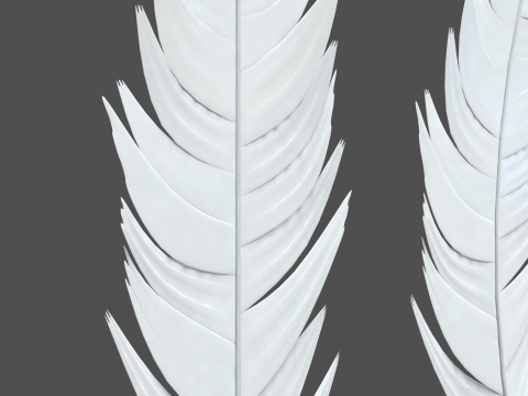 Feathers Set Model 3D