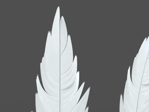 Feathers Set Model 3D