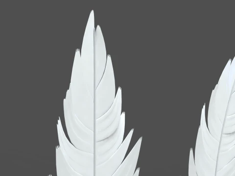 Feathers Set 3D Model