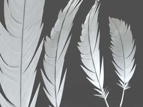 Feathers Set 3D Model