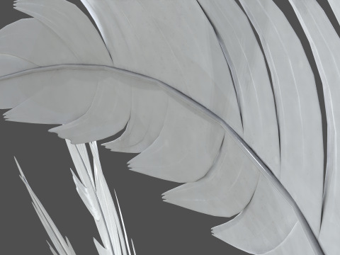 Feathers Set Model 3D