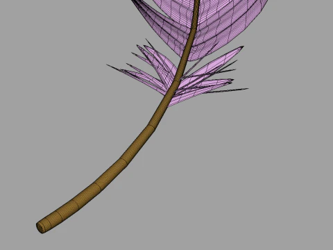 Feathers Set 3D Model