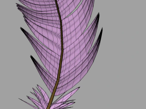 Feathers Set 3D Model