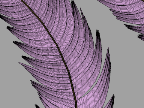 Feathers Set Model 3D