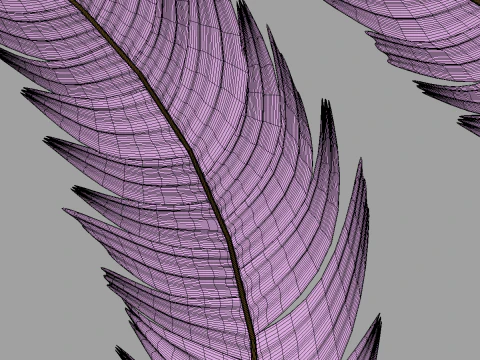Feathers Set 3D Model