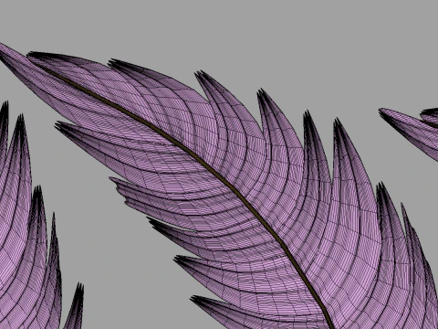 Feathers Set 3D Model