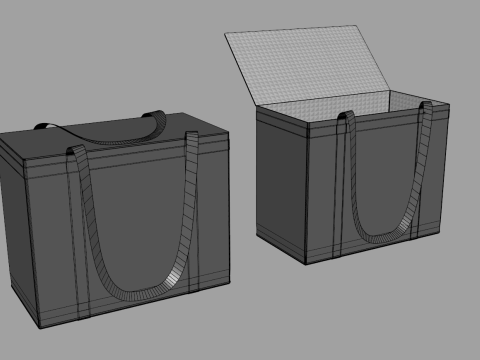 Insulated Reusable Grocery Thermal Bag Model 3D