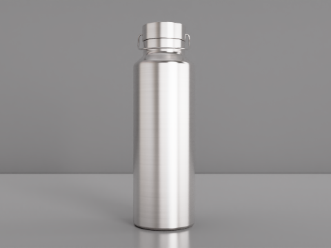 Insulated Stainless Steel Water Bottle 750ml 3D 模型