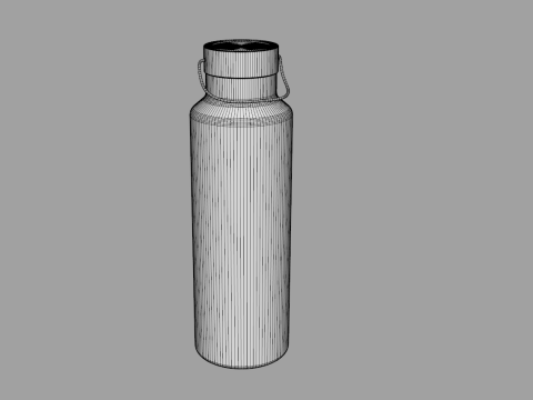Insulated Stainless Steel Water Bottle 750ml 3D Model