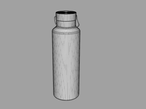 Insulated Stainless Steel Water Bottle 750ml 3D Model