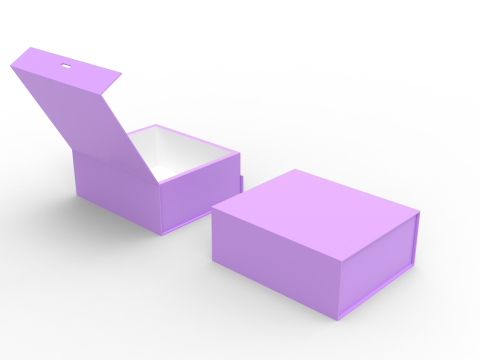 Magnetic Box with Ribbon 3Dモデル
