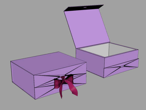 Magnetic Box with Ribbon 3Dモデル