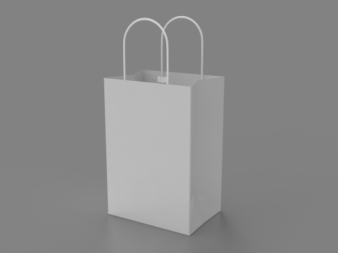 Paper Bag 3D Modell