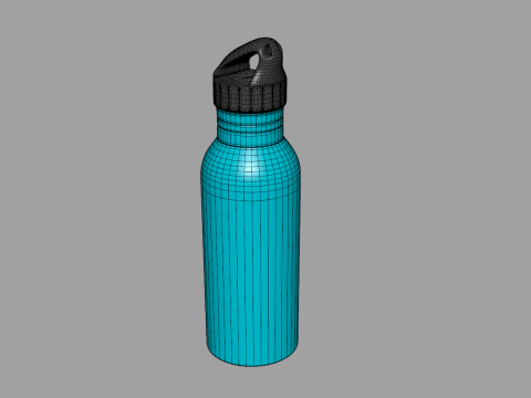 Stainless Steel Sport Bottle 3D Model