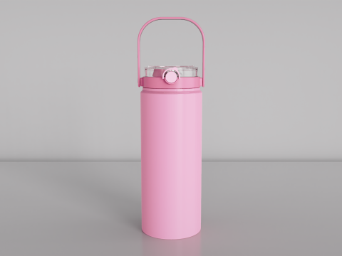 Stainless Steel Sport Bottle 3 3D Model