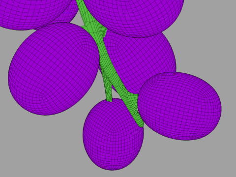 Toon Grapes 3D 模型