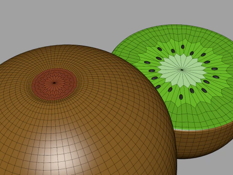 Toon Kiwi 3D Model