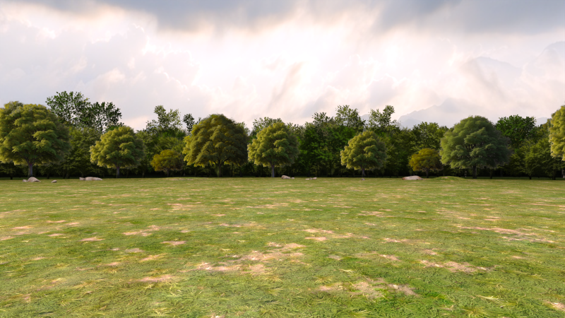 Trees Background Modèle 3D .c4d .max .obj .3ds .fbx .stl .blend