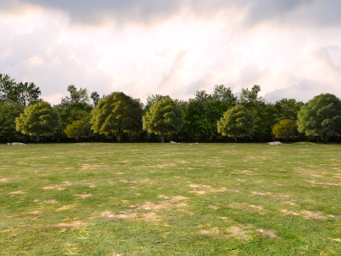 Trees Background Modèle 3D