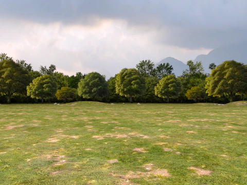 Fond d'arbres Modèle 3D