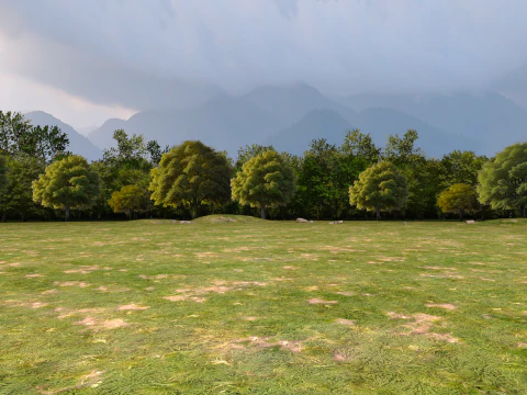 Fond d'arbres Modèle 3D