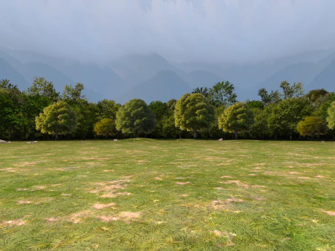 Fond d'arbres Modèle 3D