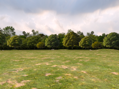 Trees Background 3D 模型