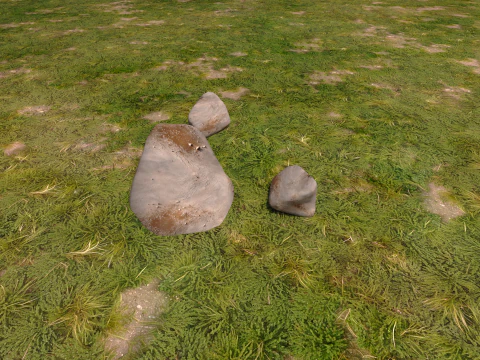 Fond d'arbres Modèle 3D