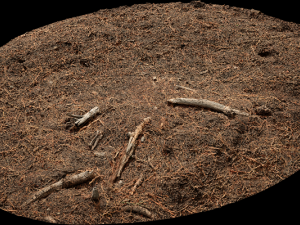Ground Modelo 3D