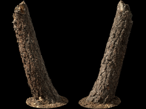 Natural tree 2 3D-Modell