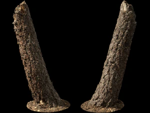 天然木2 3Dモデル