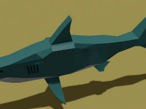 Squalo Modello 3D