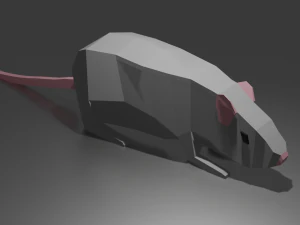 चूहा 3D मॉडल