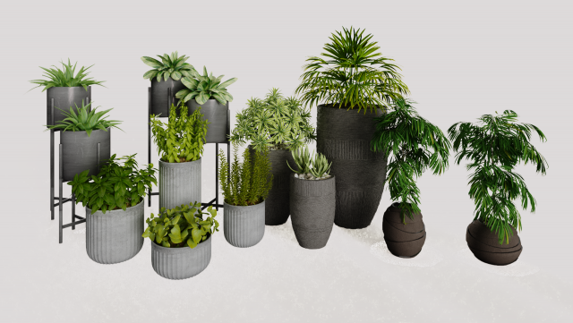 Decorative plants 3D Model .c4d .max .obj .3ds .fbx .stl .blend 