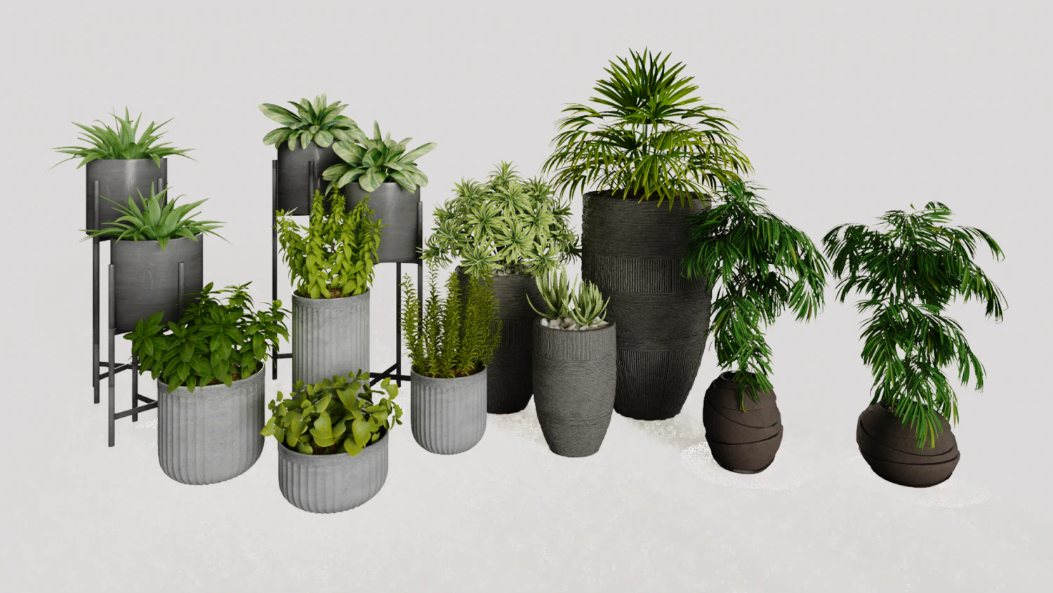 buy snake plant online Beautiful Potted Snake Plant-Artificial buy online plants and trees at  pixies Gardens main image 1