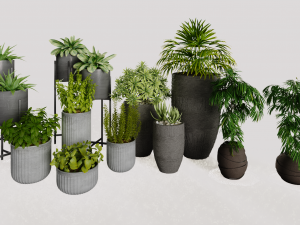 Decorative plants 3D Model
