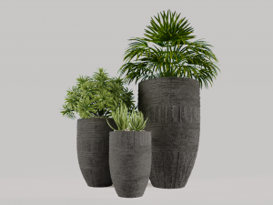 Decorative plants 3D Model
