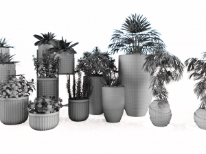 Decorative plants 3D Model
