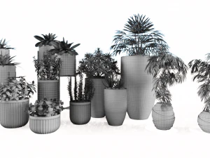 Decorative plants 3D Model