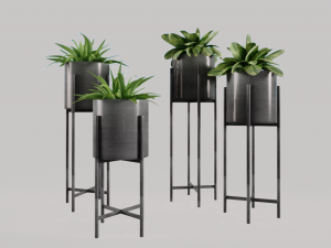 Decorative plants 3D Model